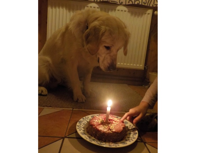Takhle vypadal náš dost...